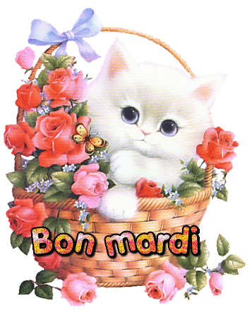 bon-mardi-chat-fleurs.gif