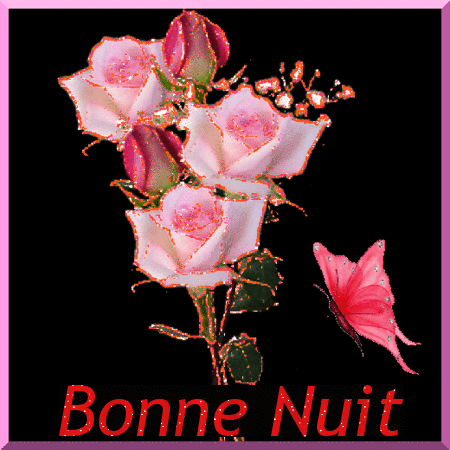 bonne-nuit.gif