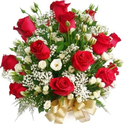 BouquetofRedRoses[1].jpg