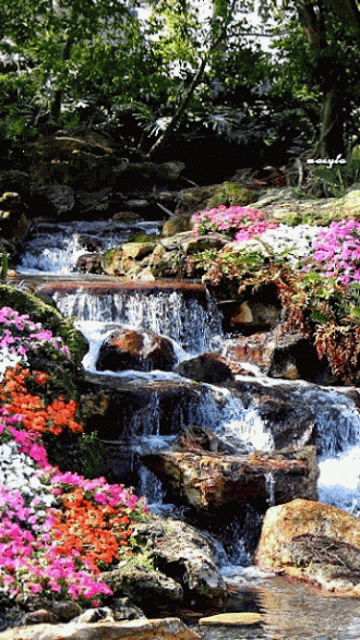 c103995b6dfbd092e820fe627791f90e.gif