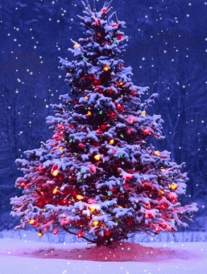 c4d290b365e793c36514324cd59dee10.gif