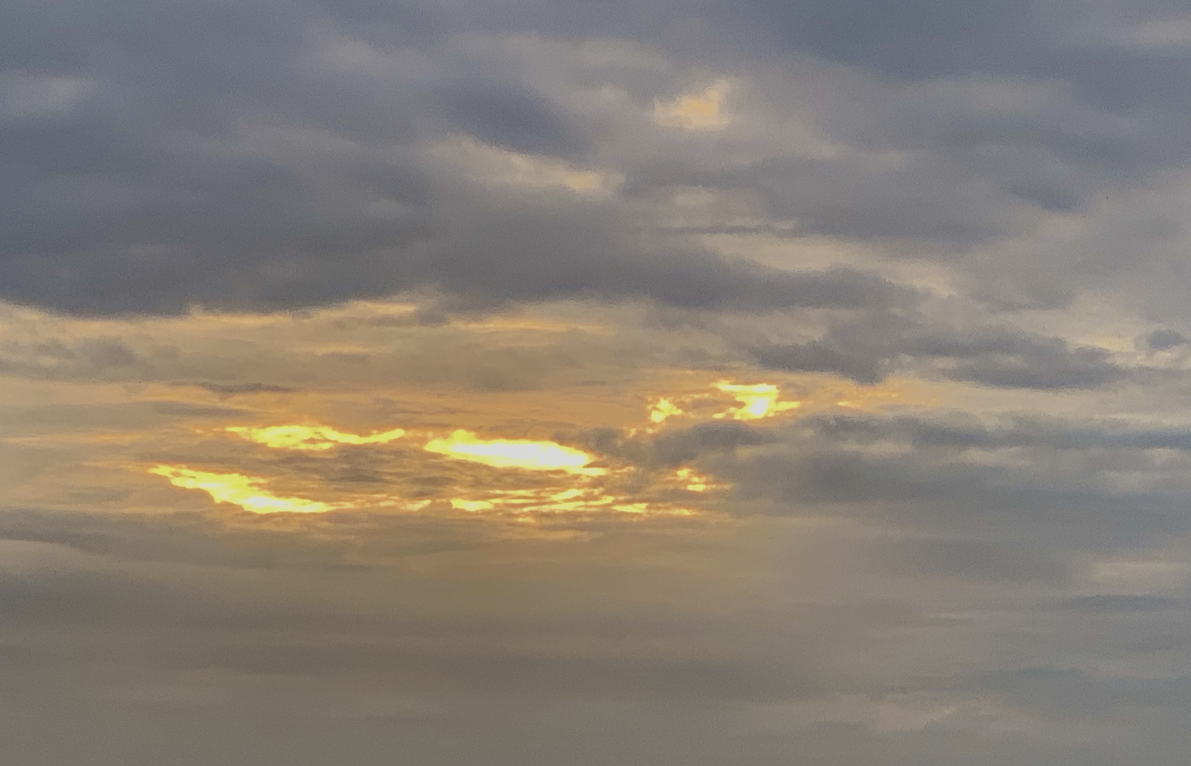 C65D7CA5-DA2E-4D59-BFBB-32F550965C9C.jpeg