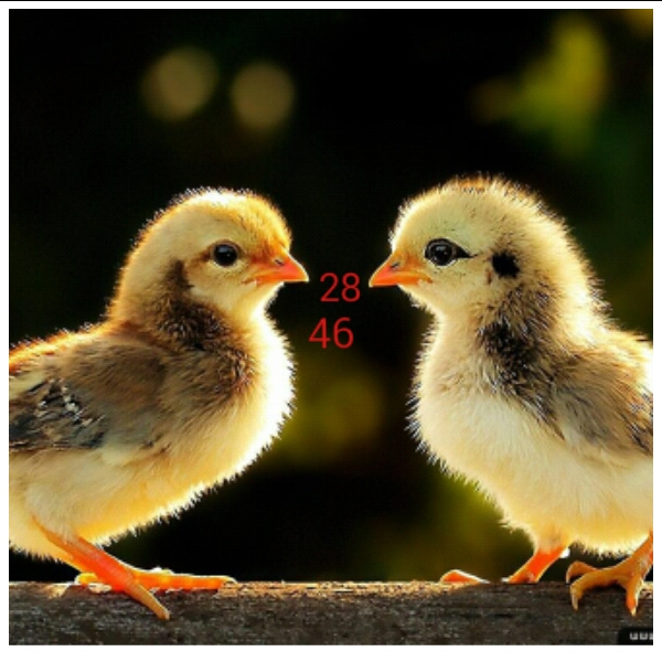 C__Data_Users_DefApps_AppData_INTERNETEXPLORER_Temp_Saved Images_Picture1499217608587.jpg