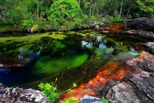 Ca%C3%B1o-Cristales2[1].jpg