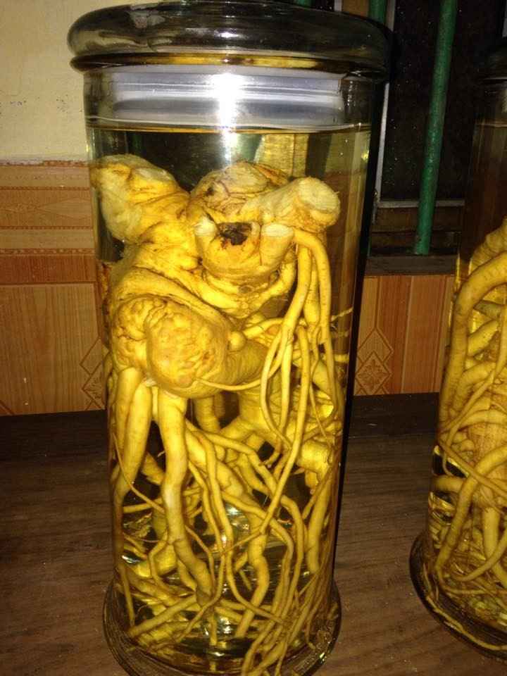 cach-ngam-ruou-dinh-lang.jpg