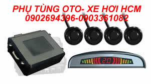 cam-bien-lui-minh-thinh-018.jpg