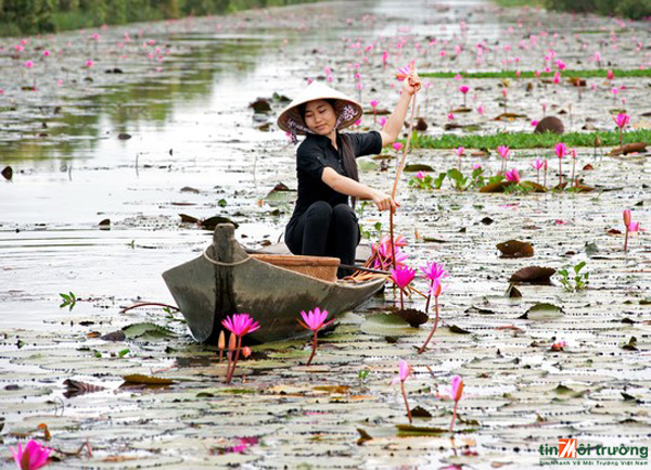 canh%20dep%20-tinmoitruong[1].jpg