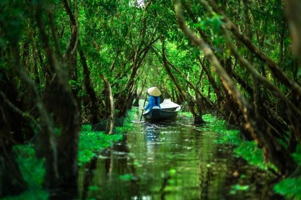 canh-dep-viet-nam-qua-ong-kinh-nhiep-anh-gia-phap-1615410[1].jpg