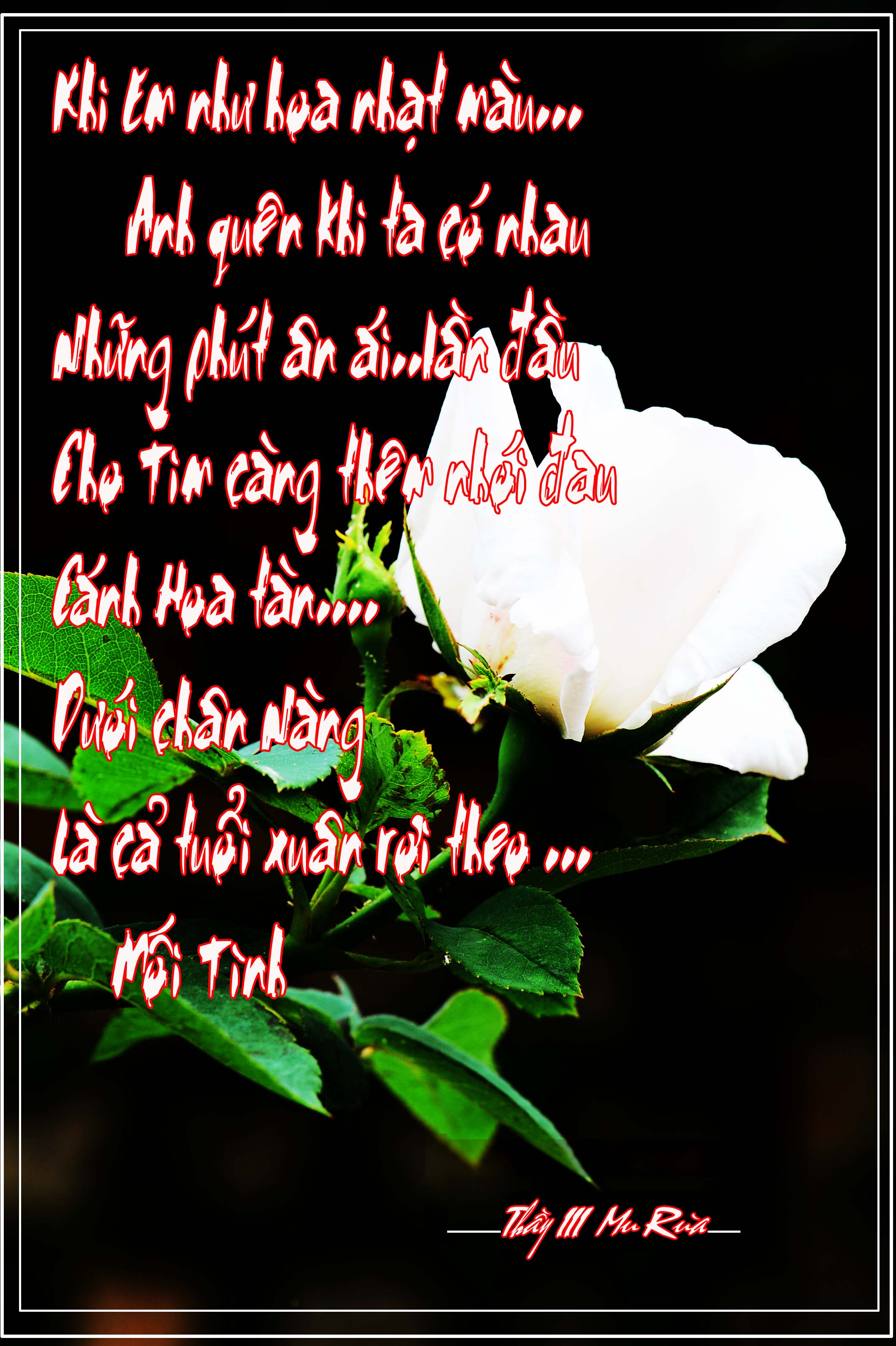 canh hong phai copy.JPG