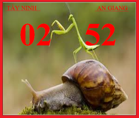 Capture.PNGCONOOOCC.PNG