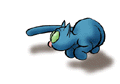 Cat Gif (125).gif