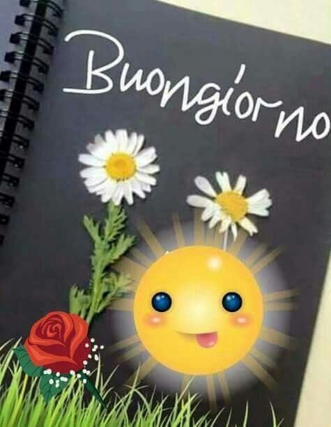 cc0be4fea24e16cb7559811ae392d931.jpg