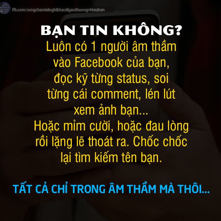 cdf6368b48f7c4cf5613a8dd702c6f00.jpg