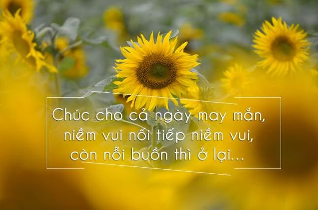 chao-ngay-moi-1.jpg