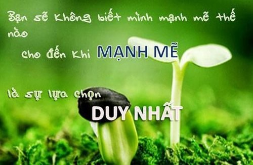 Chat-lu-voi-nhung-cau-cham-ngon-hay-ve-cuoc-song-truong-ton-moi-thoi-dai-7.jpg