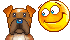 chien1.gif