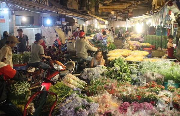 chohoa2[1].jpg