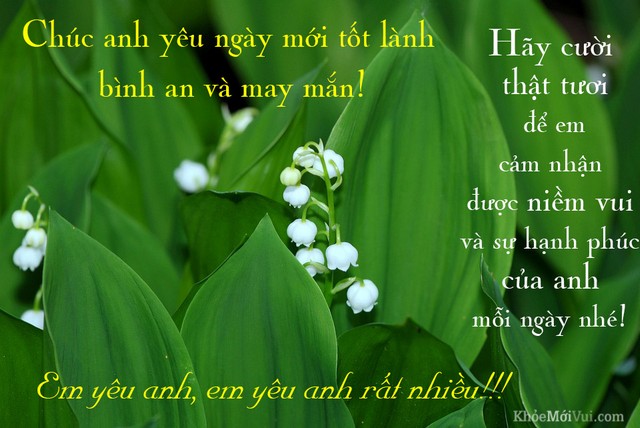 chuc-anh-yeu-buoi-sang-tot-lanh-ngay-moi-binh-an-hanh-phuc.jpg