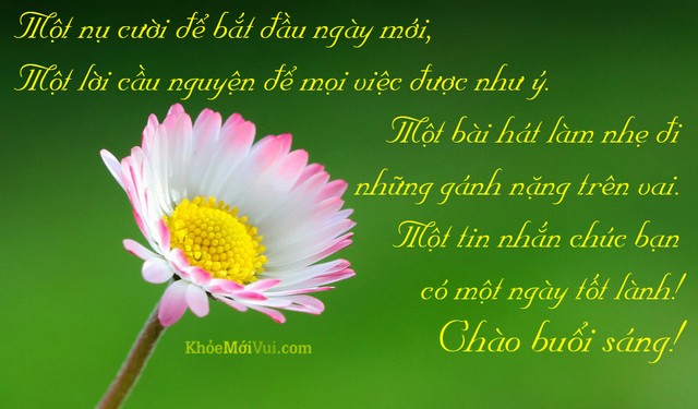chuc-ban-buoi-sang-tot-lanh.jpg