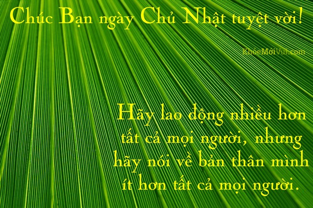 chuc-ban-ngay-chu-nhat-tuyet-voi-18.jpg