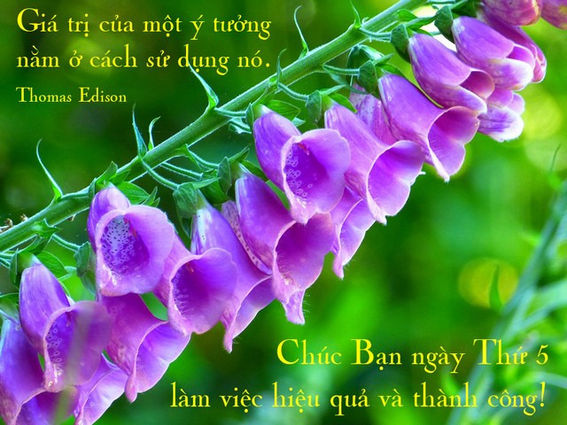 chuc-ban-ngay-thu-5-lam-viec-may-man-va-thanh-cong-3.jpg