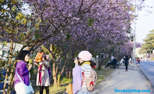con-nguoi-dalat[1].jpg