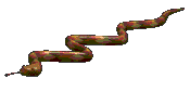 Con rắn Gif (11).gif