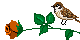 cveta-1148.gif