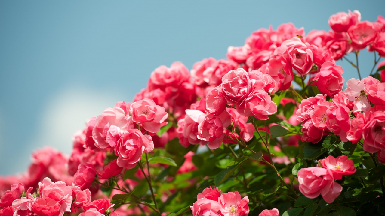 D151B6B7-41CB-4F1A-B573-B6AC242AE3DD.jpeg