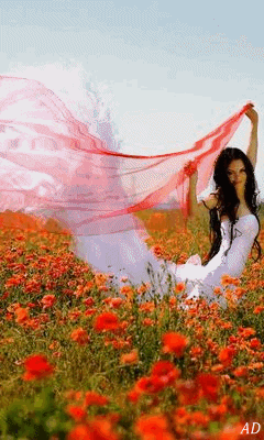 d713c8885ba07c02bd717cb04338ad1f.gif