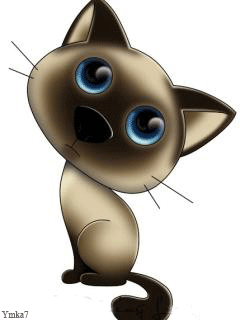 d7da1ca28938b30d89a79edcad57b621.gif