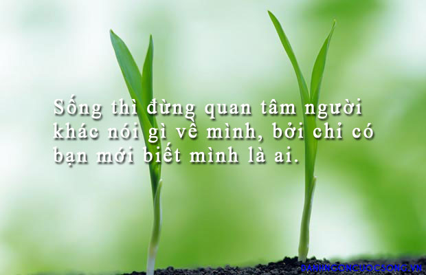 danh-ngon-cuoc-song-235.jpg