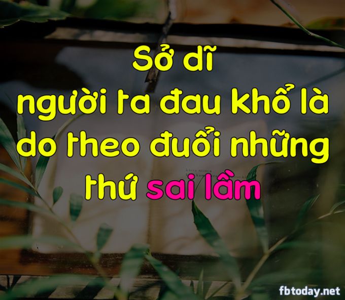 dau kho.jpg