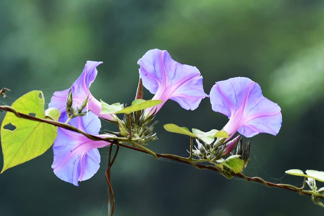 DE953C7E-EC9F-4CB8-BA4C-5910E5D18FF2.jpeg