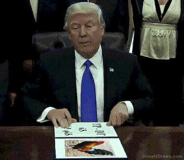 DonaldDraws1542553693338.gif
