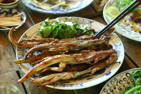 dong-ninhthuan[1].jpg