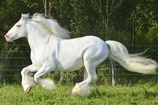 downloadfile-1.jpg