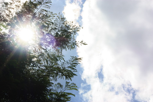 downloadfile-10.jpg