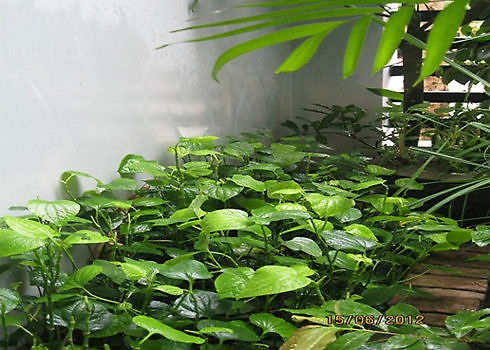 downloadfile-16.jpg