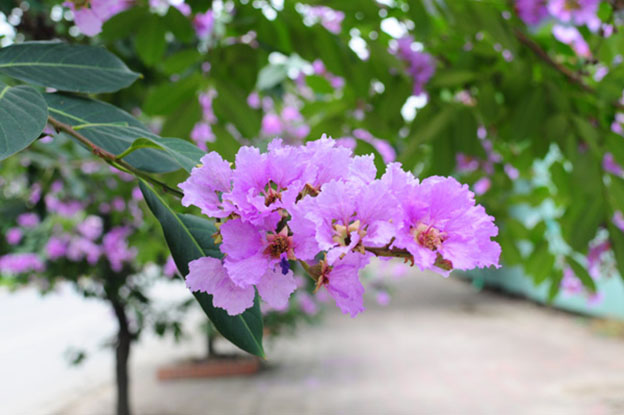 downloadfile-21.jpg
