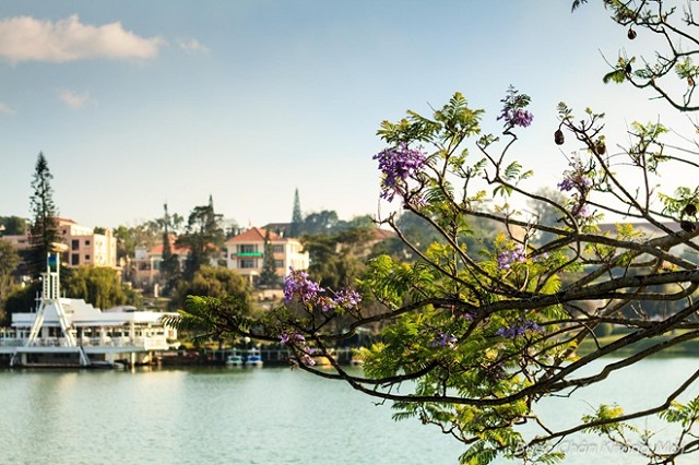downloadfile-22.jpg