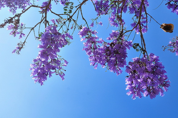 downloadfile-33.jpg