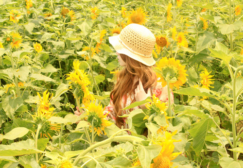 downloadfile-41.jpg