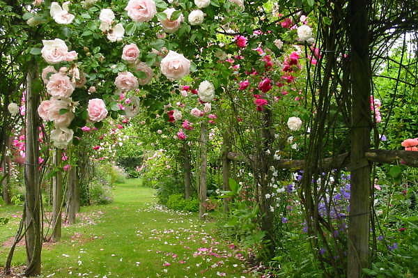 downloadfile-50.jpg