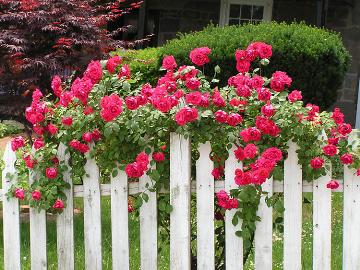 downloadfile-53.jpg