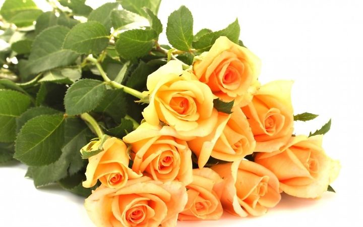 downloadfile-67.jpg
