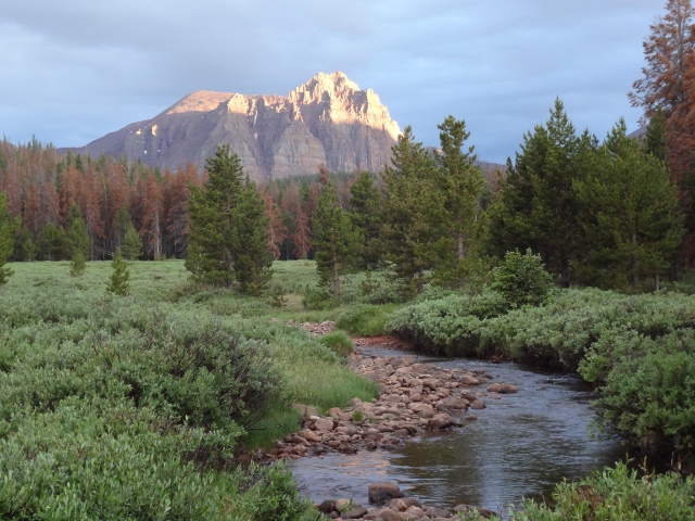 DSC00460-640x480[1].jpg