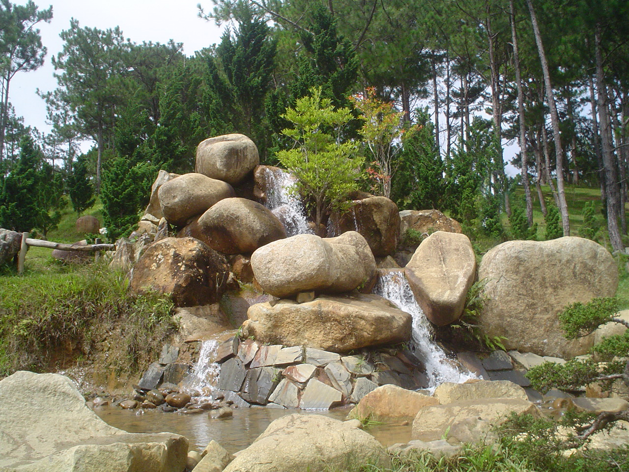 DSC05264.JPG