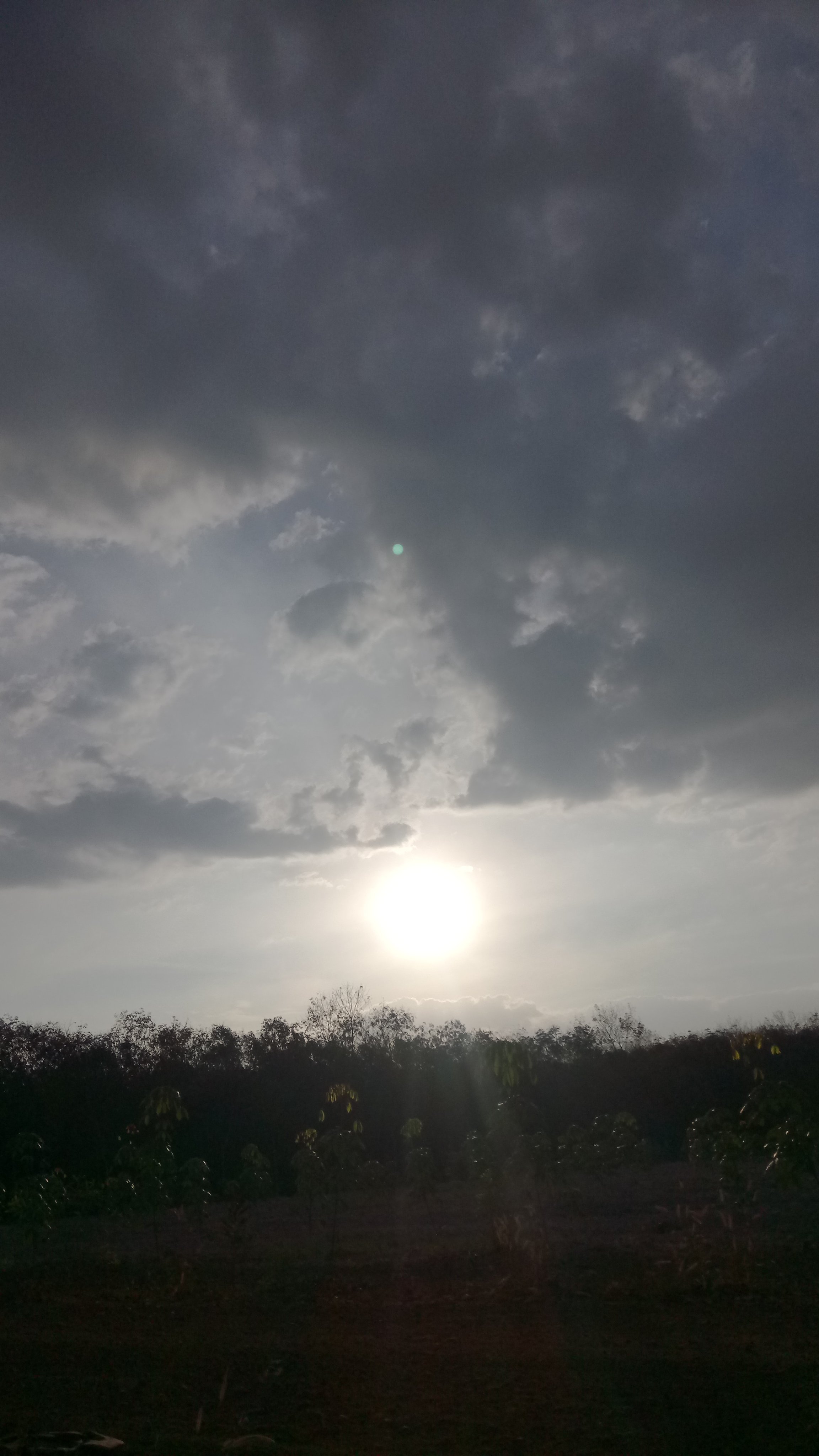DSC_0054.JPG