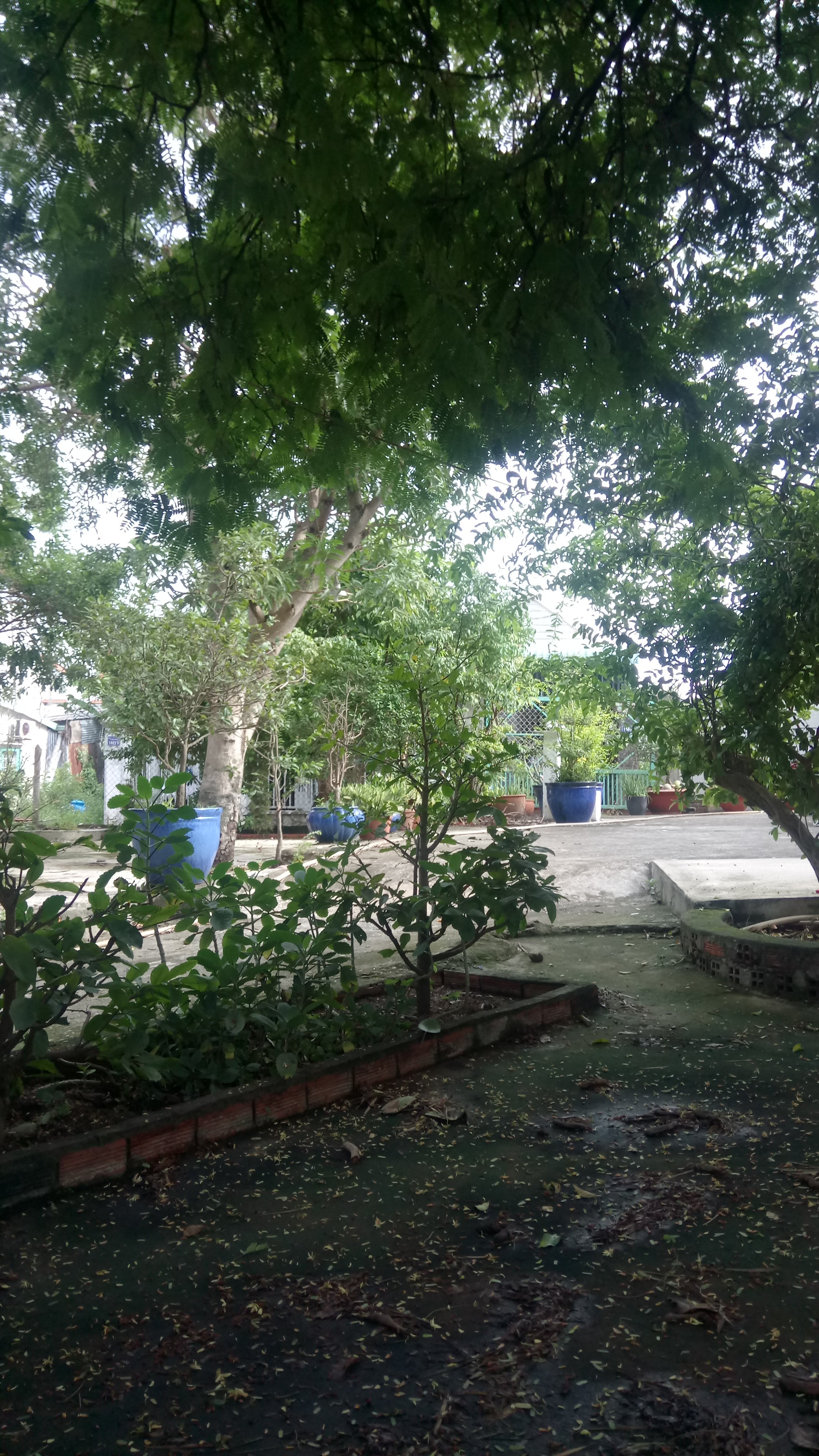 DSC_0099.JPG